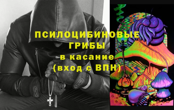 mix Богородицк