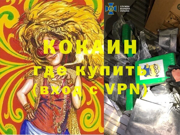 mix Богородицк
